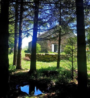 Chaudeyrolles Bed & Breakfast | la ferme du crie