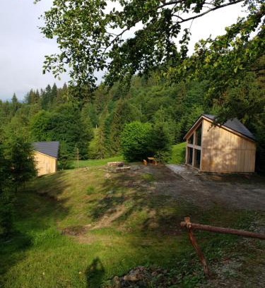 Bistrita Bargaului Ski Chalet | La hambare