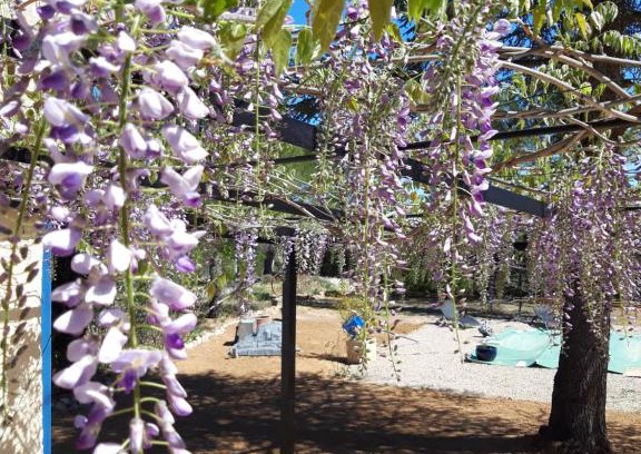 Rians House | La Margottière chez isa et titi