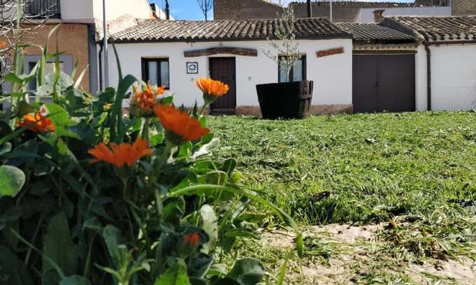Carcastillo House | La mimosa