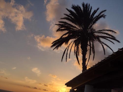 Lingua Villa | "la Palma"la casa del sole e del vento