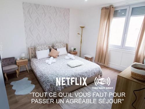 Mulhouse Apartment | La Perle F3 Moderne et Cosy Centre ville Netflix
