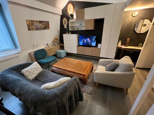 Saint-Maurice Pellevoisin Apartment | La Petite Place Lille St Maurice