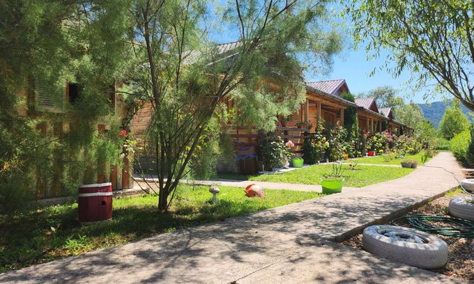 Sichevita Other | La Podul Gornii