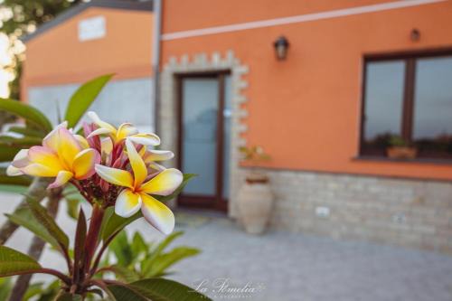 Trappitello Bed & Breakfast | La Pomelia B&b Sofia