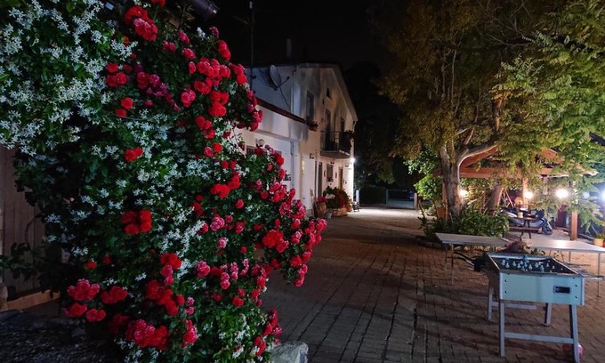 Montenero di Bisaccia House | La Quiete