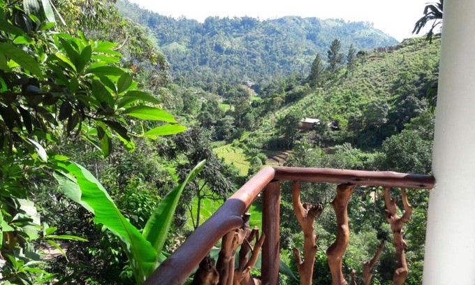 Ella Bed & Breakfast | La Rochelle