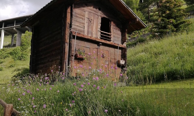 Saint-Rhemy-en-Bosses Bed & Breakfast | La Thuillettaz B&B Maisons de Montagne