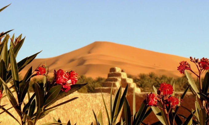 Hassilabied Bed & Breakfast | La Vallée des Dunes - Auberge, bivouacs et excursions