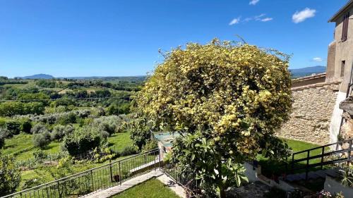 Poggiolo House | La Vista
