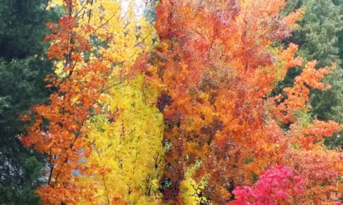 Lake Almanor Country Club House | Lake Almanor Vacation Home Reserve Your Christmas Holiday at a Mountain Cabin.