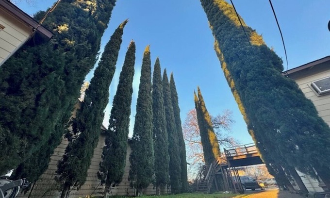 Clearlake Apartment | Lake front unit #6 right by the water