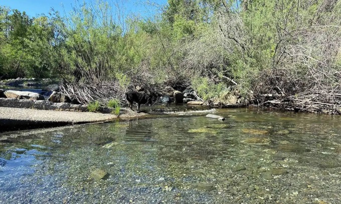 Potter Valley Cabin | Lake Pillsbury/Hull Mt. Cabin 1Br/1Ba Great View!