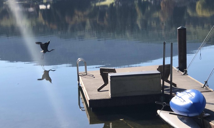 Bellingham House | Lake Samish Getaway close to Galbraith Mountain, Chuckanut & Historic Fairhaven