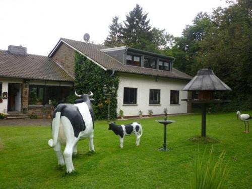 Nettersheim Apartment | Land des Friedens in Nettersheim/Eifel