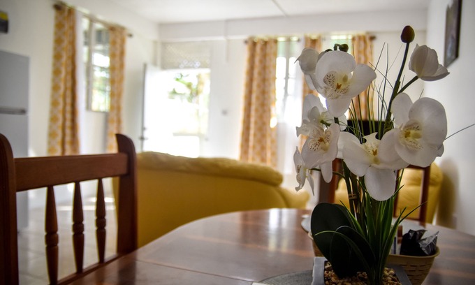 Castle Comfort Apartment | Large 2 Bedroom 2 Bathroom Apartment #4 in Roseau. Bus stops right in front!
