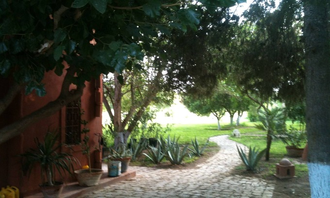 Hammamet Interieure Villa | large villa hidden in the countryside