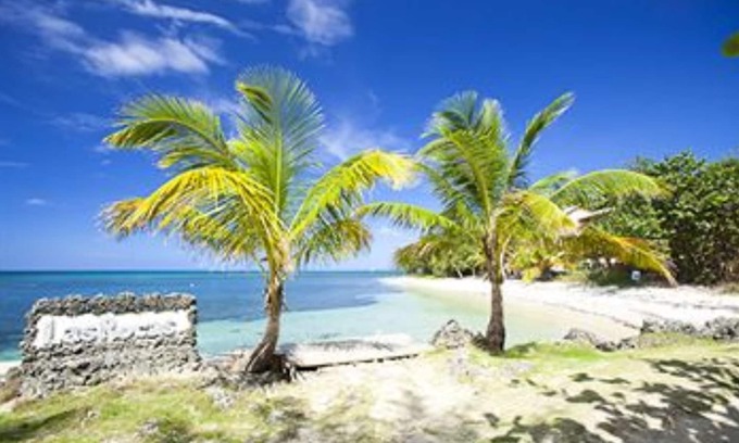 Antoneys Cay Hotel | Las Rocas Resort And Dive Center
