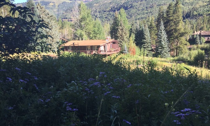 Vail Cabin | LAST MINUTE BARGAIN Vail Cabin with Spectacular Views, one of a kind views!