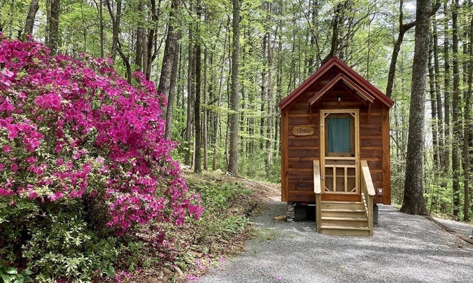 Clarkesville Cabin | Laurel Tiny Home at Bleu Canoe Campground