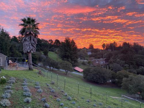 Watsonville Apartment | Lavandine Farm