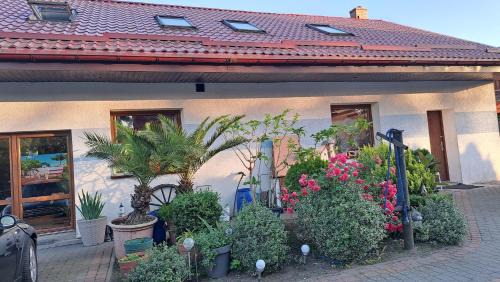 Miastko House | Leśne ZACISZE