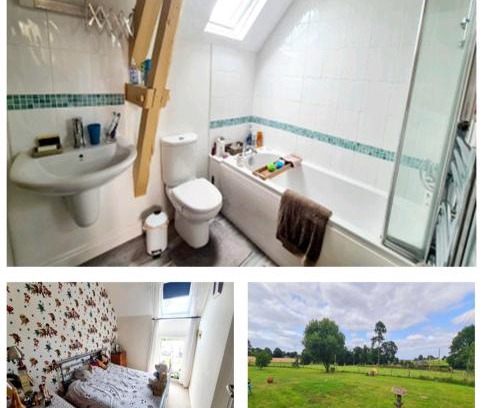 Fougerolles-du-Plessis House | Le bois