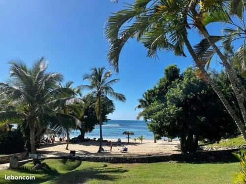 Anse des Rochers Apartment | Le Chacha Anse des Rochers