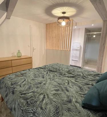 Selestat Apartment | Le Cosy Green - centre-ville