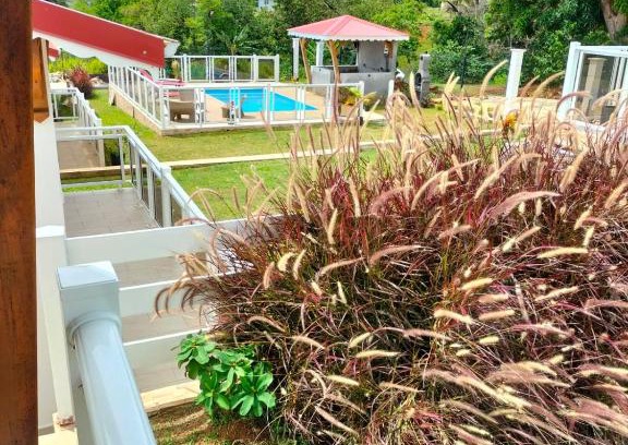 Duzer House | Le Doux Paradise- CORO