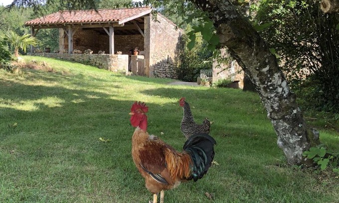 Cuzorn House | Le Gîte de lescarcelles proche du château de Bonaguil