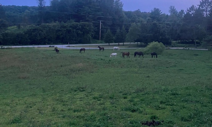 Frelighsburg Ski Chalet | LE GARAGE 17