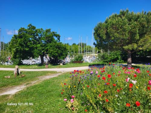 Marennes Apartment | Le grenier a sel