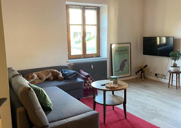Le Hohwald Apartment | Le Hohwald centre appartement 2 pièces # 102