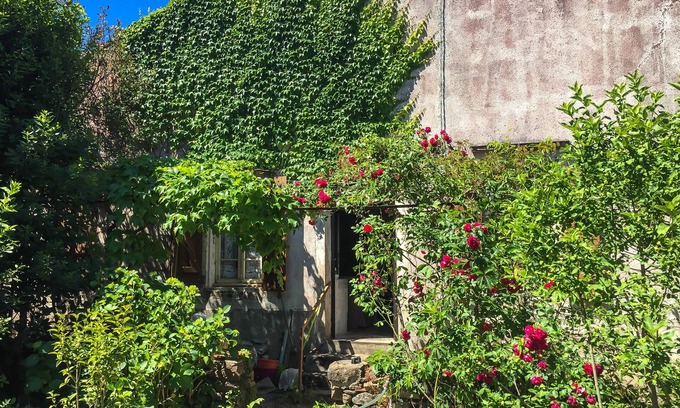 Le Bousquet-d'Orb House | Le Mas du Figuier, vacation home