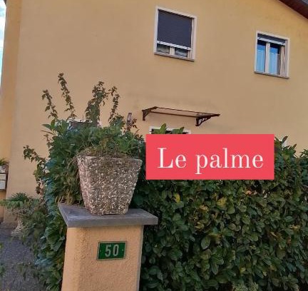 Monteceneri House | Le palme