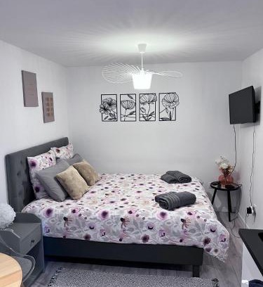 Kable Apartment | Le Patcho Charmant studio Confortable & Chaleureux , idéalement situé proche centre ville Quartier Neustadt Tribunal, Contades