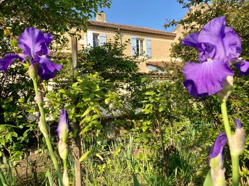 Valence-sur-Baise Bed & Breakfast | Le Petit Cochon