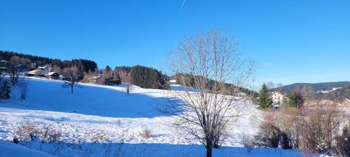 Xonrupt-Longemer Apartment | Le Petit Sapin