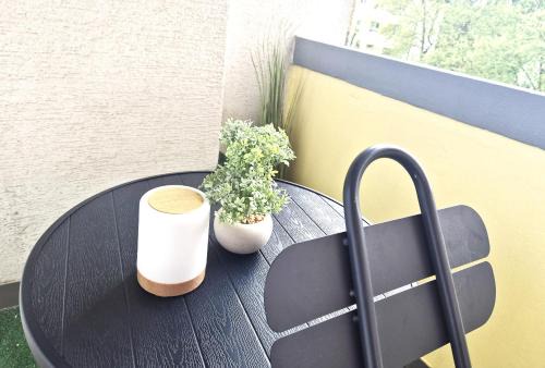 Schiltigheim Apartment | Le repos Alsacien