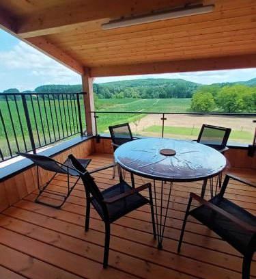 Saint-Leon-sur-Vezere Apartment | Le Séchoir des acacias, Gîte les Chênes Verts