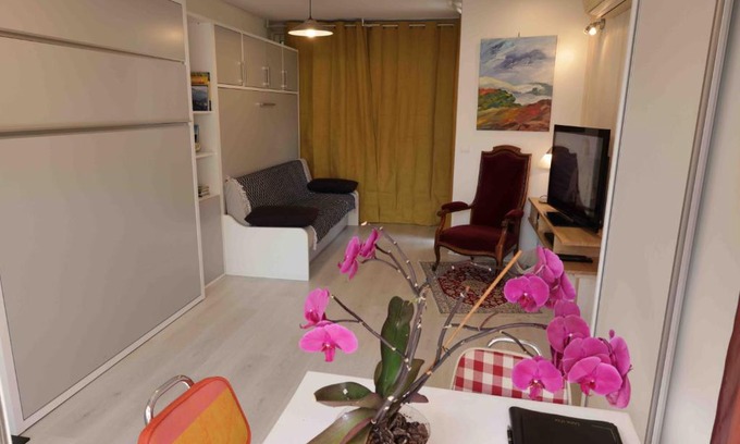 Agos-Vidalos Apartment | Le VISCOS à AGOS-VIDALOS