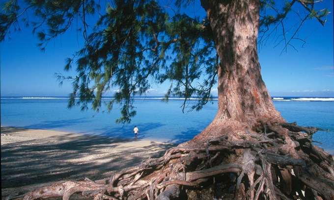 Saint-Leu House | Leu Bleu Austral