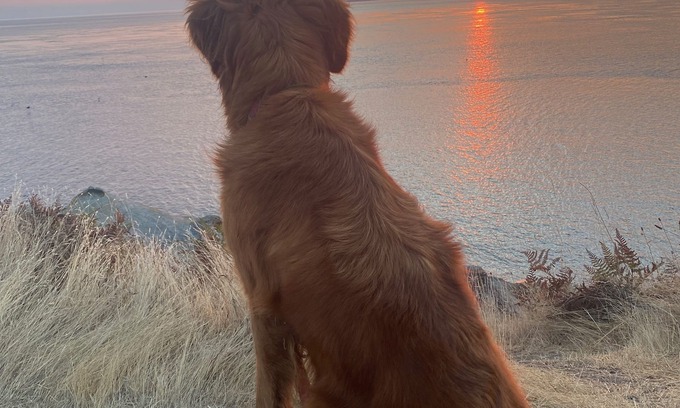Saturna Island Cottage | Lighthouse Keeper's Cottage at East Point