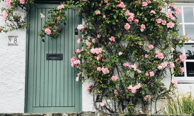 Greyabbey Cottage | Lilac Tree Cottage, Greyabbey, Strangford Lough, Co Down, N.Ireland