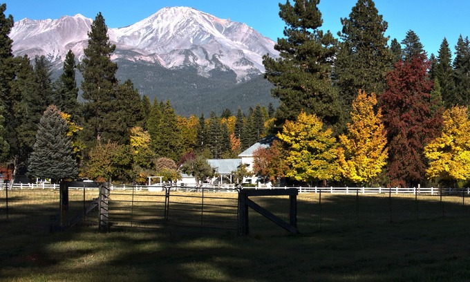 Mount Shasta Apartment | Lilly's Loft at Spring Creek Ranch
