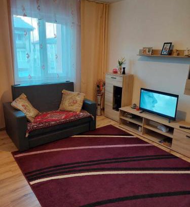 Lupeni Apartment | Lily Ap