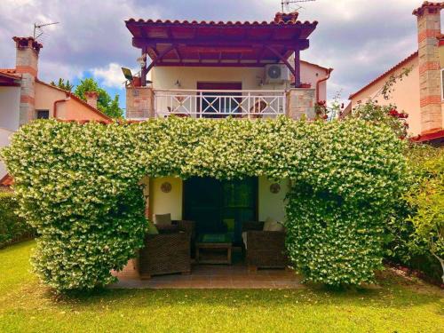 Kriopigi Villa | Little paradise by the sea