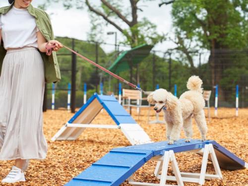 Yawatano Hotel | LiVEMAX RESORT Izukogen Annex