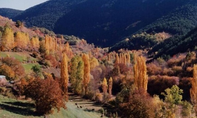 Llagunes Cottage | lo pallé de lime bosch magnificent Pyrenees cottage 12 km from Sort